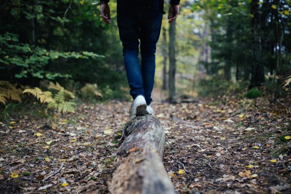 jon-flobrant-_r19nfvS3wY-unsplash jon-flobrant-_r19nfvS3wY-unsplash
