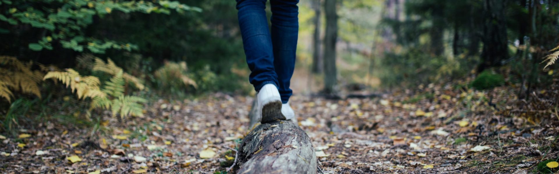 jon-flobrant-_r19nfvS3wY-unsplash
